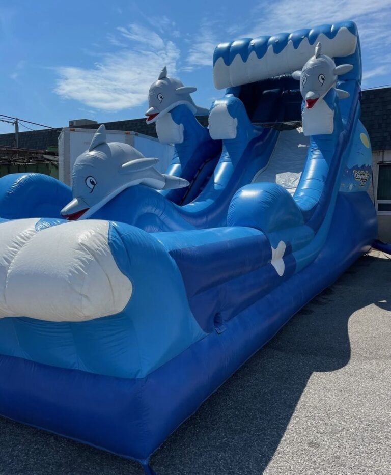Dolphine Wave slide