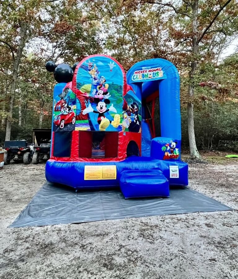Trademark Mickey Mouse Combo C4