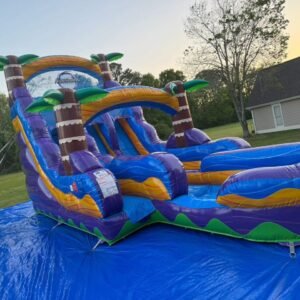 💦 Ocean Breeze Double Lane Palm Slide