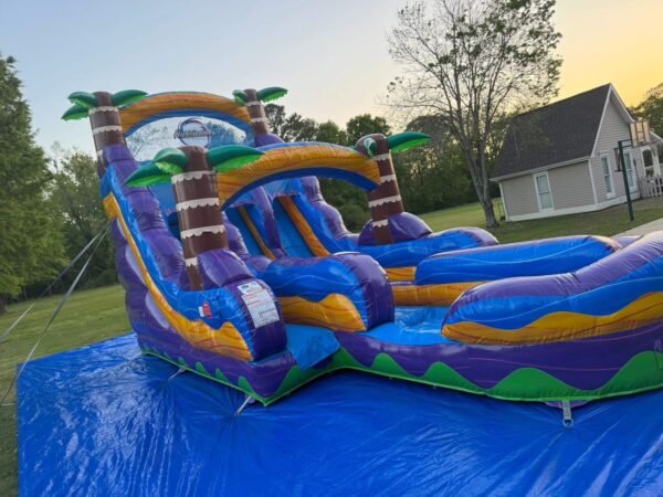 💦 Ocean Breeze Double Lane Palm Slide